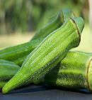 Moong Dal with Skin
