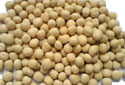 Yellow Peas